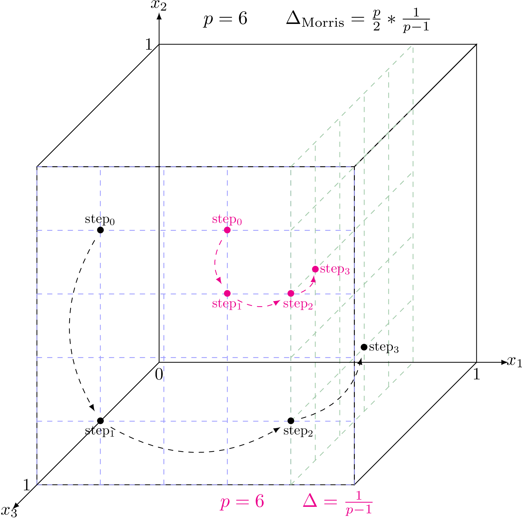 Schematic view of two trajectories drawn randomly in the discretised hyper-volume (with p=6) for two different values of the elementary variation (the optimal one in black and the smallest one in pink, as detailed on the figure itself).